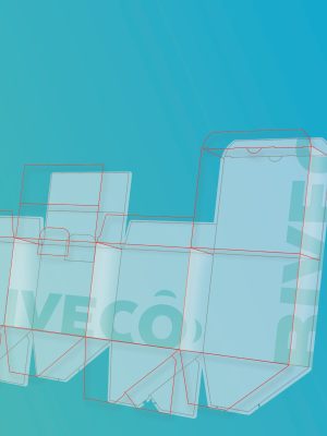 Biveco_presentation (AF)_Page_08